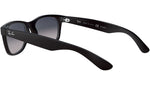 New Wayfarer Classic RB2132 matte black polarized