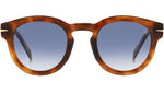 DB 7041/S FLAT WR9 08 Brown Havana