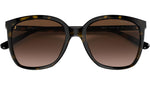 Anaheim MK2137U 300613 Dark Tortoise