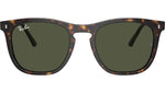 RB2210 902/31 Tortoise