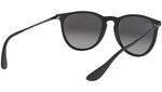 Erika Classic RB4171 matte black