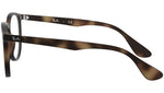 Erika Optics RB7046 tortoise