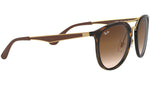 RB4285 tortoise and brown