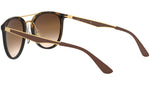 RB4285 tortoise and brown