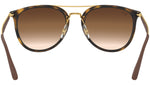 RB4285 tortoise and brown