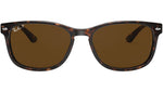 RB2184 902/57 tortoise