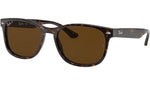 RB2184 902/57 tortoise