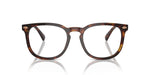 PH4214 613773 Brown Tortoise