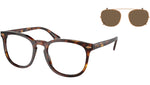 PH4214 613773 Brown Tortoise