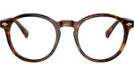 PH4218 613771 Brown Tortoise