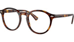 PH4218 613771 Brown Tortoise