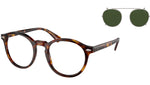 PH4218 613771 Brown Tortoise