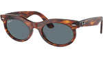 Wayfarer Oval RB2242 954/3R Tortoise