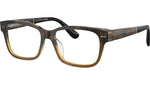 BC3003 1014 Havana Tortoise