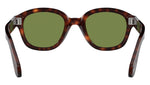 PO0060S 24/4E Tortoise