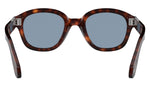 PO0060S 24/56 Tortoise