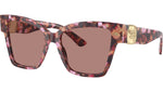 DG 4470 344073 Havana Pink Brown