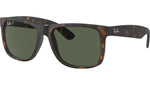 Justin RB4165 865/9A Tortoise