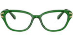 SK2032 1064 Green