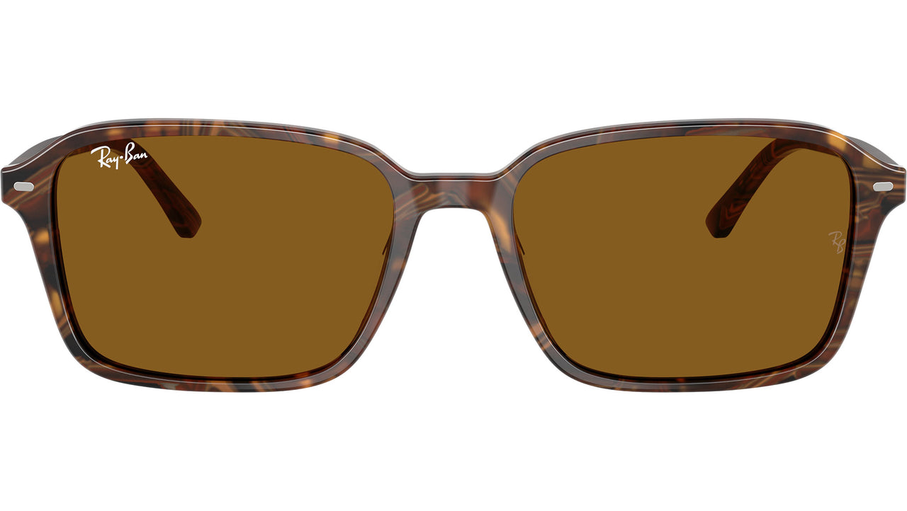 Raimond RB2231 141833 Brown