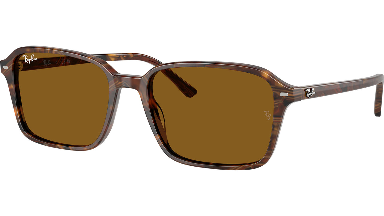 Raimond RB2231 141833 Brown