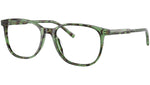 DG 3426 3439 Havana Green