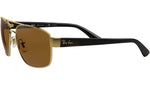 RB3663 brown polarized