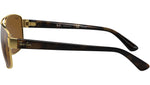 RB3663 brown polarized