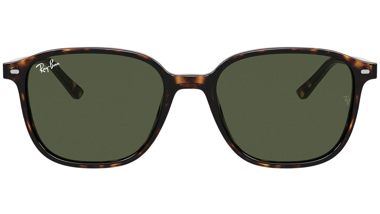 Leonard RB2193 tortoise