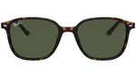 Leonard RB2193 tortoise