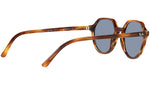 Thalia RB2195 954/62 striped havana