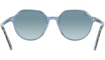 Thalia RB2195 13163M havana on light blue