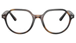 RY9095V 3685 Tortoise