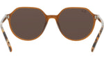 Thalia RB2195 663693 transparent brown