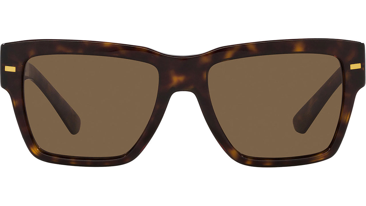 DG 4431 502/73 Tortoise Brown