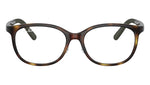 RY1614D 3863 Tortoise