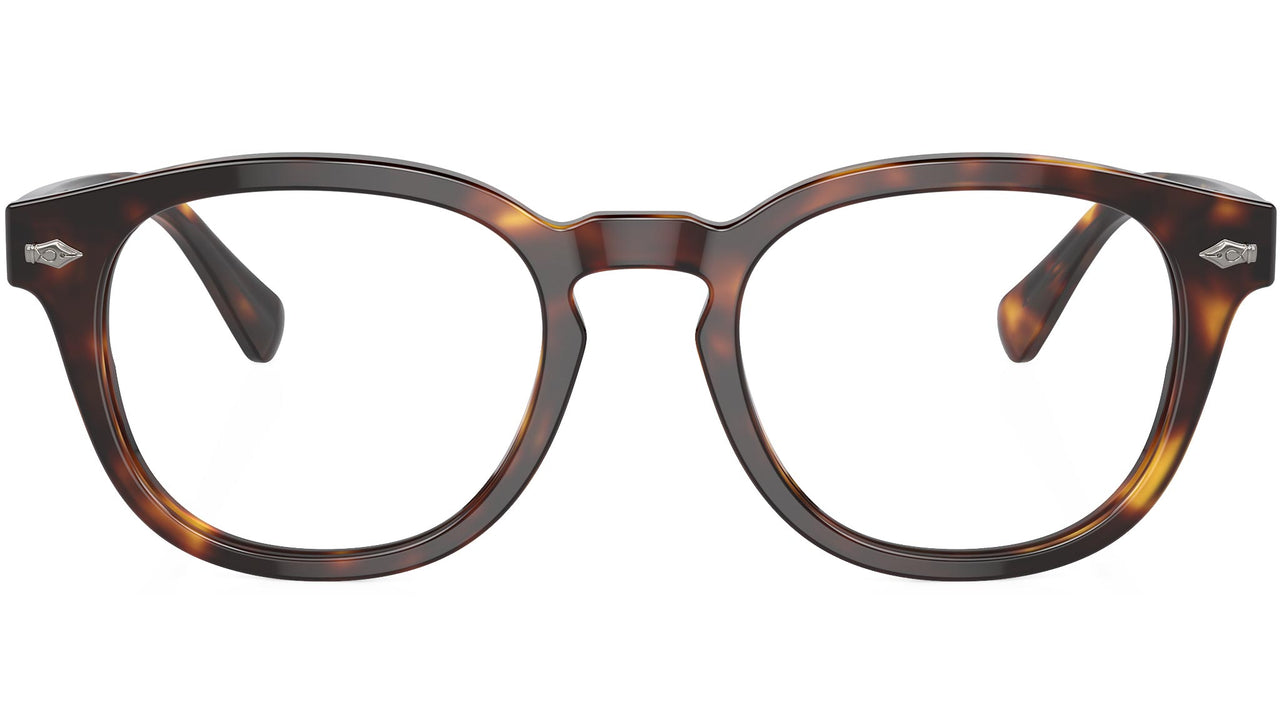 PH2272 6137 Brown Tortoise