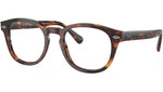 PH2272 6137 Brown Tortoise