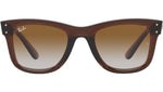 Wayfarer Reverse RBR0502S 6709CB Brown