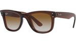 Wayfarer Reverse RBR0502S 6709CB Brown