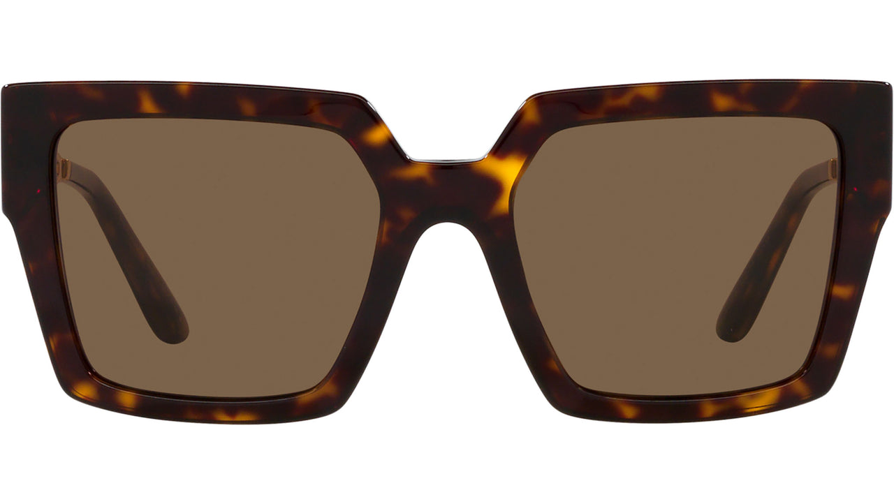 DG 4446B 502/73 Tortoise Brown