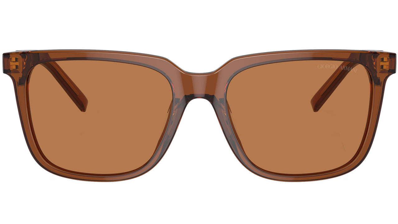 AR 8202U 604973 Brown