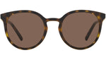 DG 6189U 502/73 Tortoise Brown