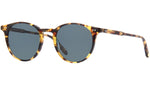 Clune Sun Dark Tortoise