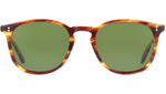 Kinney Sun Chestnut