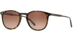 Kinney Sun Bio Cookie Tortoise