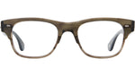 Rodriguez Olive Tortoise