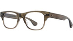 Rodriguez Olive Tortoise