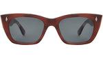 Webster Sun Vintage Burnt Tortoise