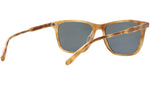 Hayes Sun Ember Tortoise